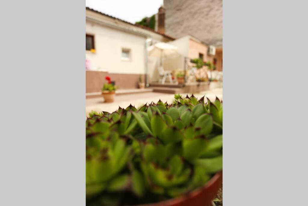 Charming Apartment In Town Center Pula Exterior foto